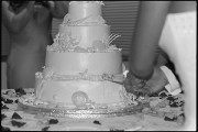 Cake Cutting