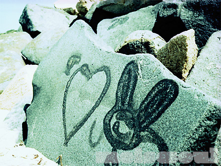 I Heart Bunnies