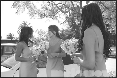 Bridesmaids Talking