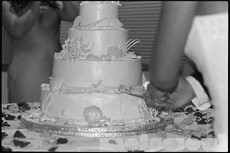 Cake Cutting