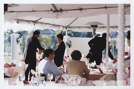 Setting up the Tables