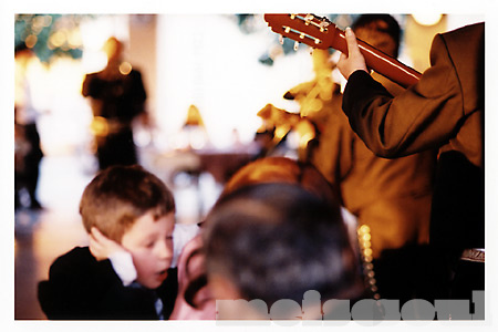 The Mariachi Begins