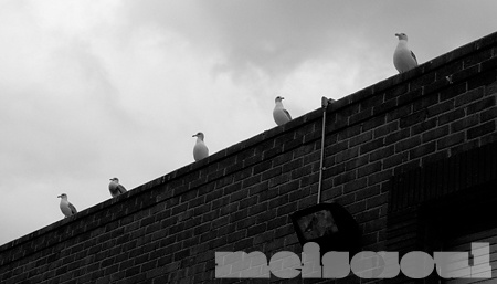 Storm Watch