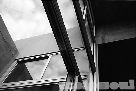 The Windows