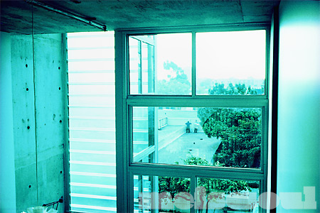 The View