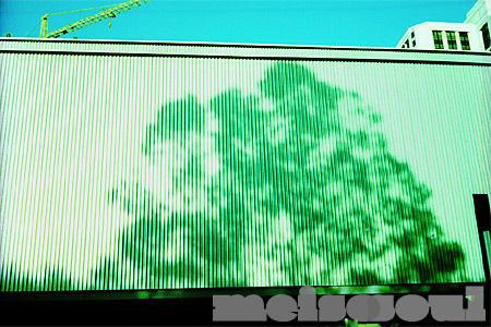 Yerba Buena Shadows
