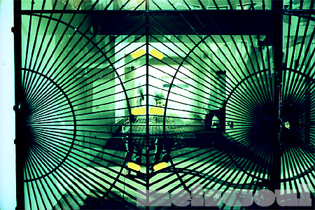 Gate Self Portrait