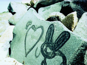 I Heart Bunnies