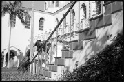 Theresa & Bridesmaids Pose on the Stairs