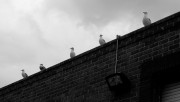 Storm Watch