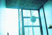 A Look Outside