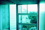 The View