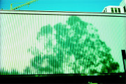Yerba Buena Shadows