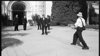 Brendan and the Groomsmen Pose