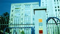 Urban Jungle Gym