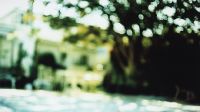 At the End, Everything Is a Blur