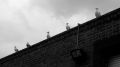 Storm Watch