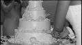 Cake Cutting